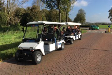 14 persoons golfkar